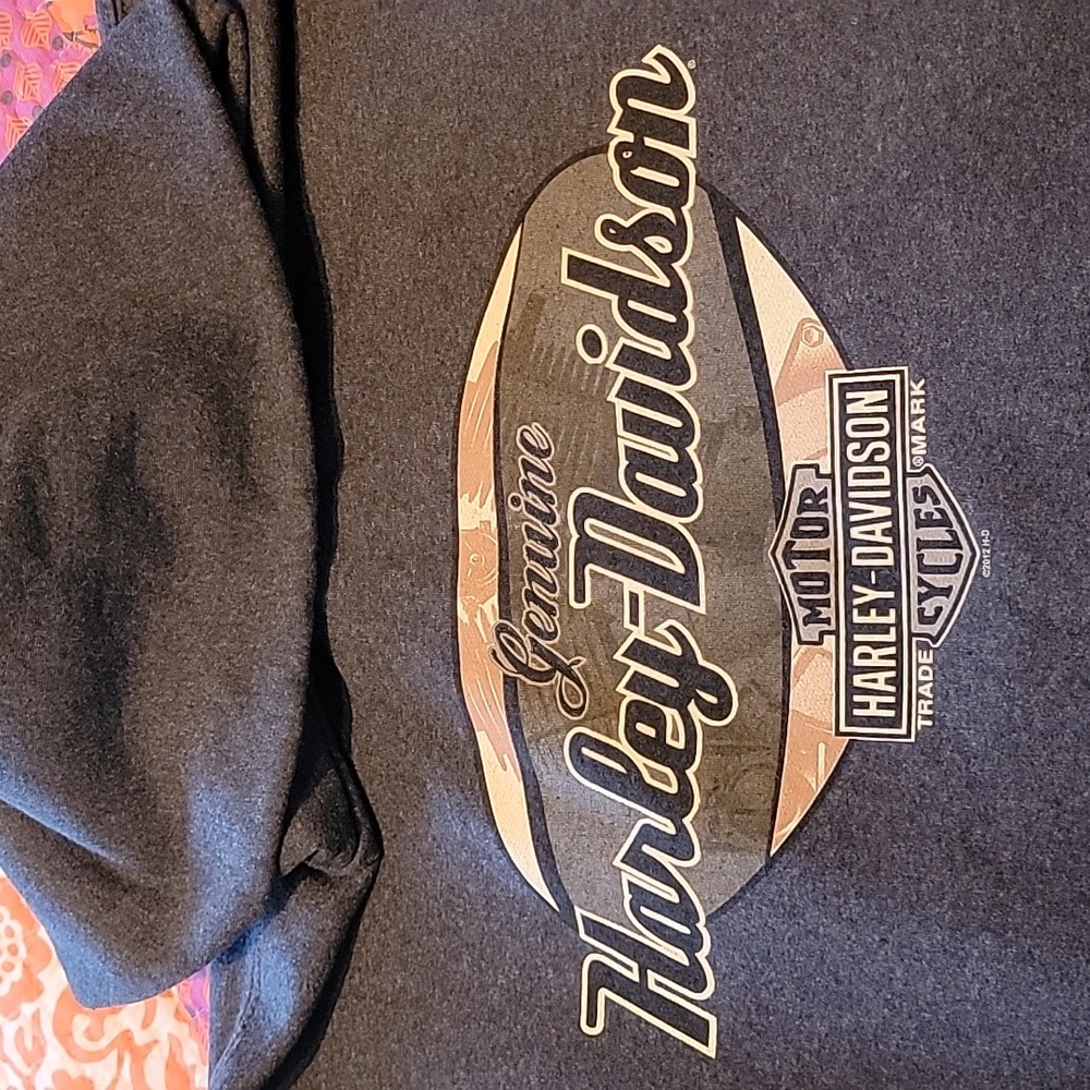 Harley-Davidson Dark Grey Men's Sz L, Mile High Harley, Parker, CO, Hoody